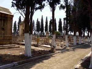 HAMMAM BOU HADJAR 2009 LE CIMETIERE   (29)